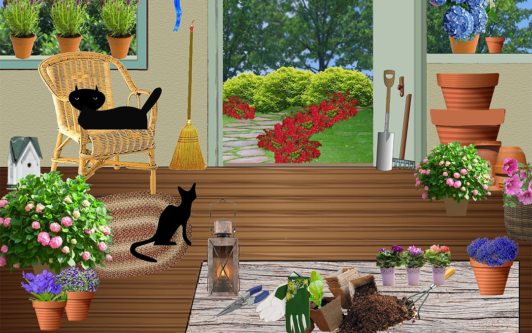 cats in shed
